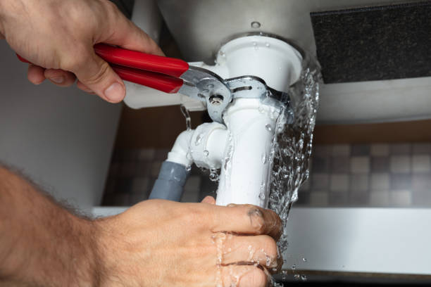 Best Professional water damage repair  in Dundee, MI