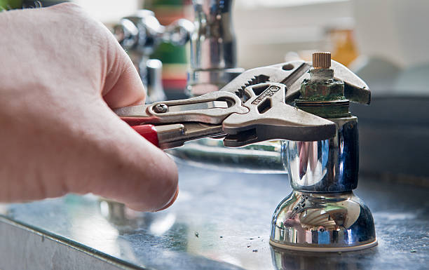Best Fire Damage Restoration  in Dundee, MI