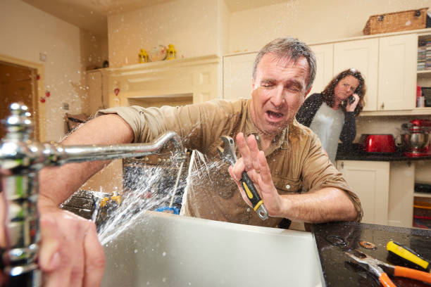 Best Fire Damage Restoration  in Dundee, MI